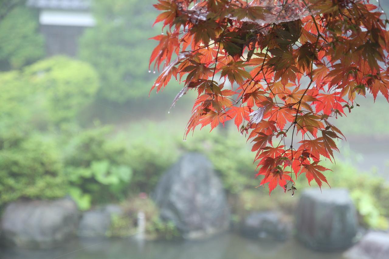 Hotel Suwakonomori Shikitei Suwa  Zewnętrze zdjęcie